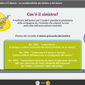 Introduzione ai rami assicurativi