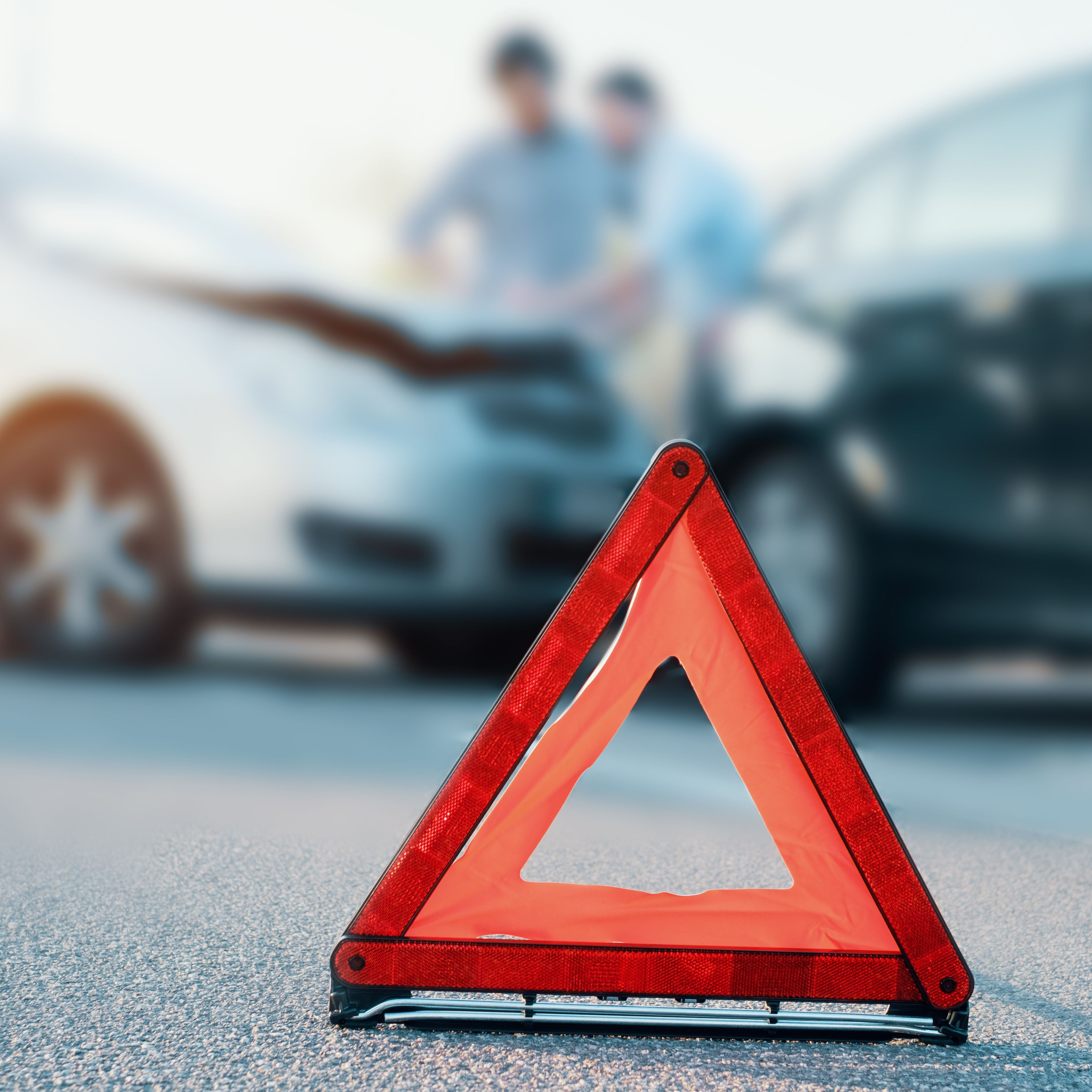 immagine rappresentativa del corso