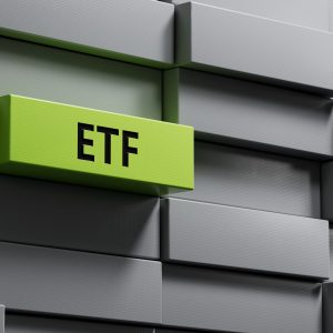 immagine rappresentativa del corso